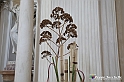 VBS_0349 - Corollaria Flower Exhibition 2022